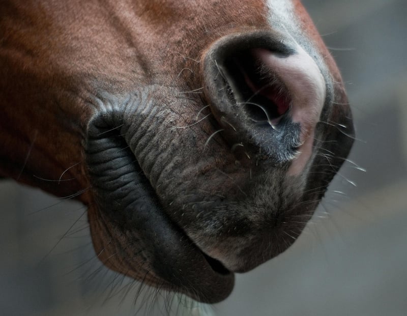 Alternate Nostril